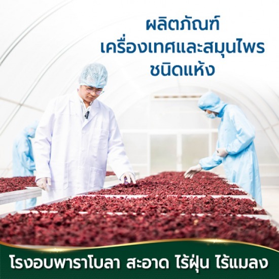 โรงงานสมุนไพร โรงงานสมุนไพร