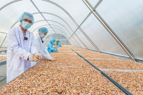 ตากตะไคร้