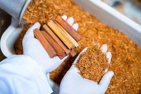 สมุนไพร